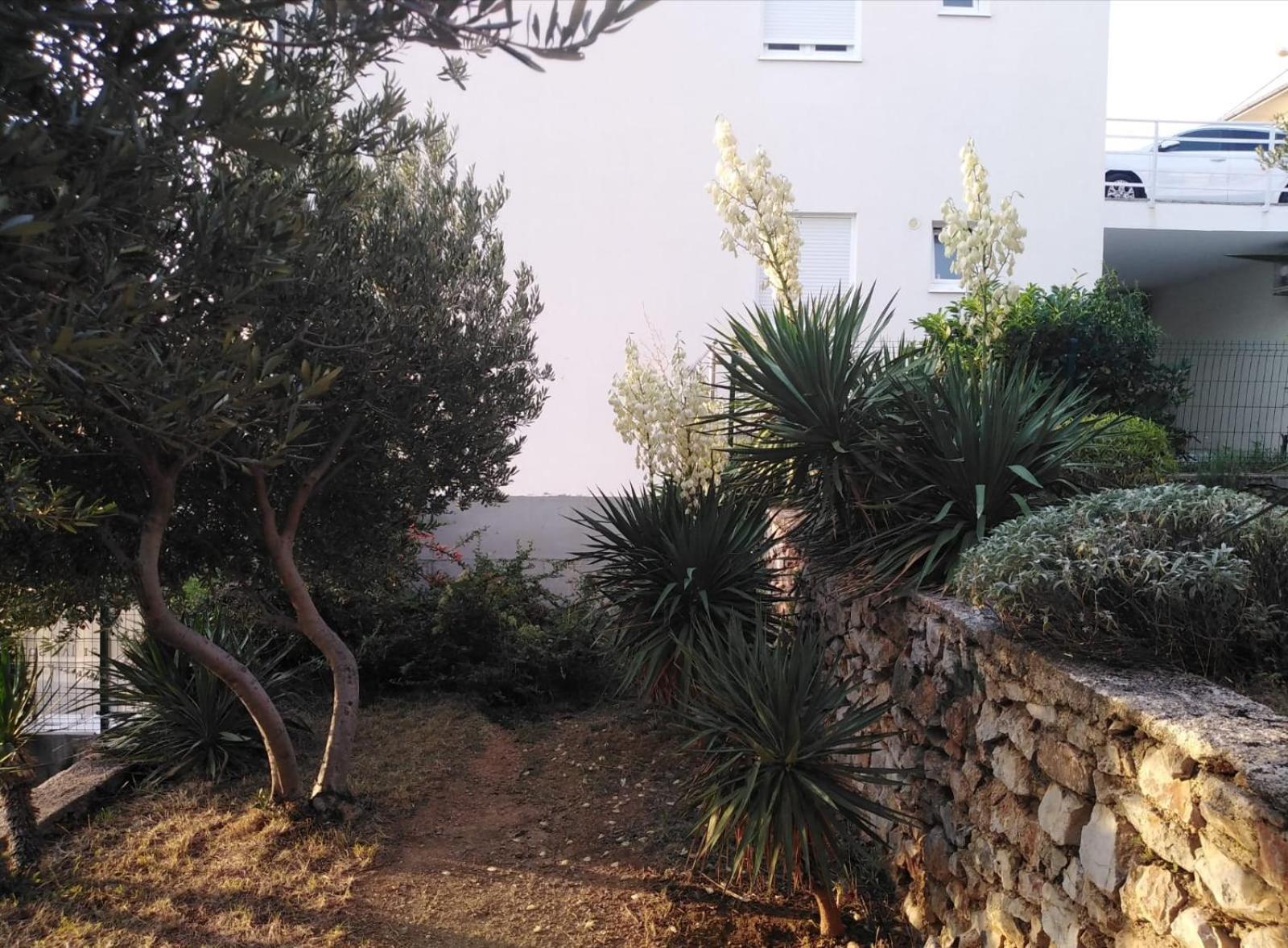 סנג' Apartment Franjo מראה חיצוני תמונה