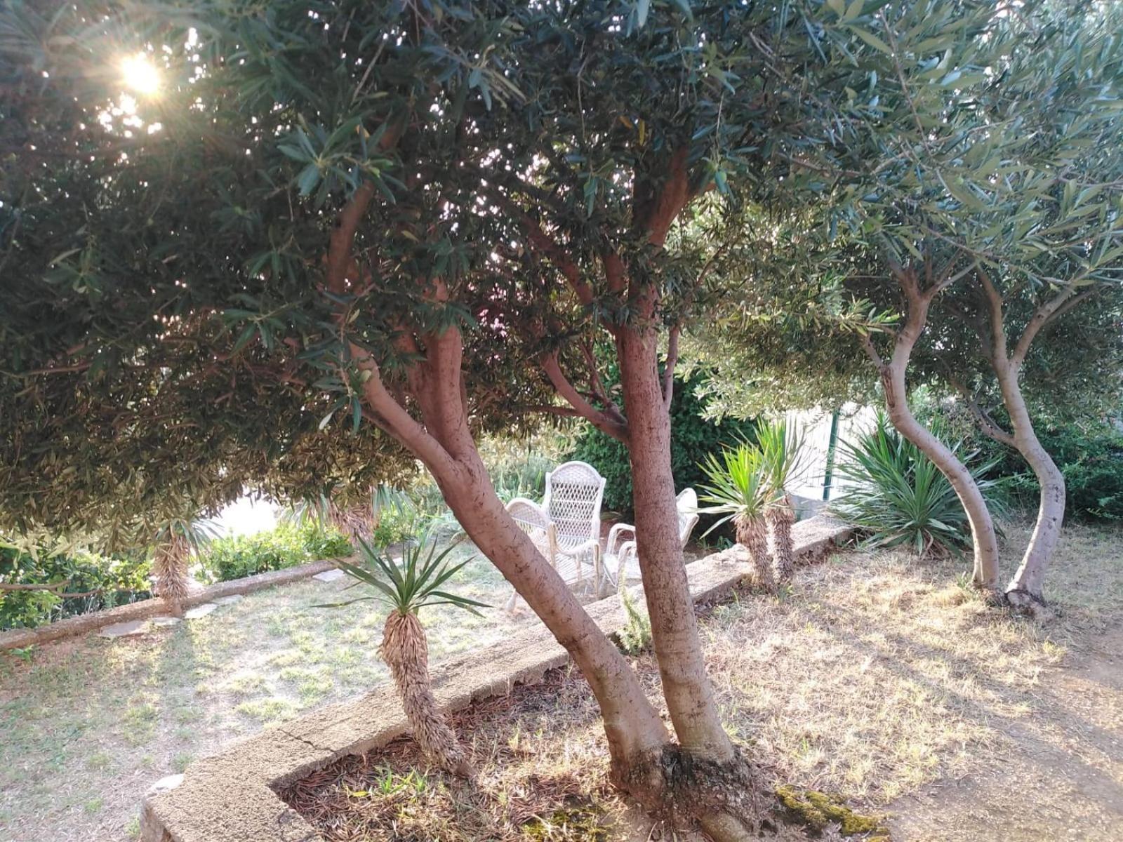 סנג' Apartment Franjo מראה חיצוני תמונה